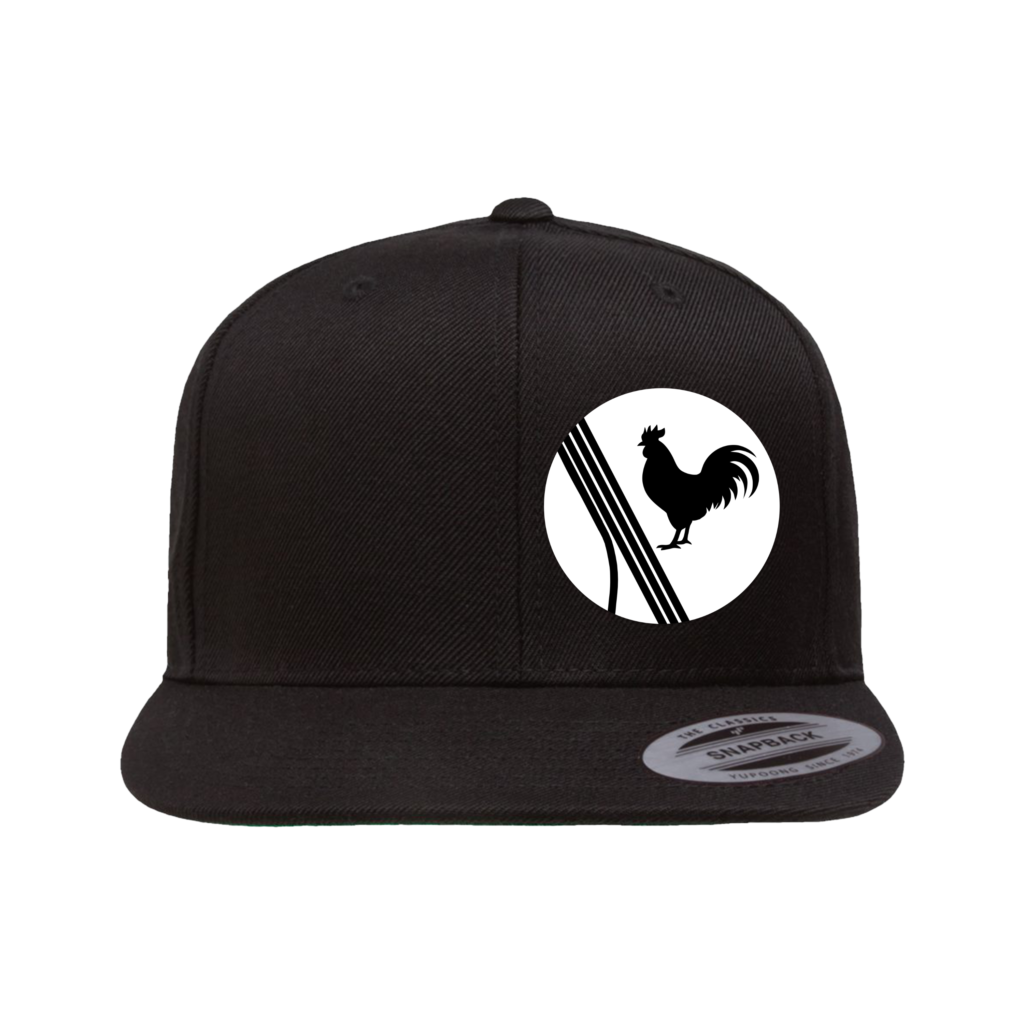 ascend snapback hat
